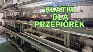 Klatka dla przepiórek niosek #przepiórki #hobby #hodowla #rolnictwo #ptaki #drób