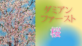 【桜】 ダミアン・ハースト 桜 in 国立新美術館