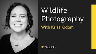 Wildlife Photography with Kristi Odom