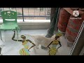 Zoë moved gas cylinders #dog #doglover #pets