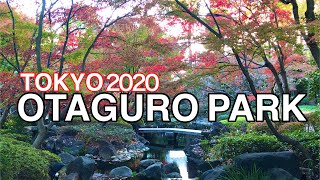 【2020 Tokyo】 Walk Around OTAGURO PARK 大田黒公園 散歩 오타쿠로 공원