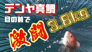 【テンヤ真鯛】大鯛が目の前に登場した時のみんなの焦り！3.8kgの大鯛と長時間BIG FIGHT ! 誰が釣っても嬉しい大鯛でみんな笑顔になりました！