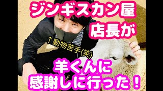 【マザー牧場】ジンギスカン屋の店長が、羊くんに感謝しに行った！【動物苦手】