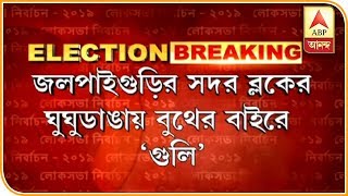 ভোটারদের ভয় দেখাতে তৃণমূল আশ্রিত দুষ্কৃতীদের গুলি, অভিযোগ BJPর, অস্বীকার ECর| ABP Ananda