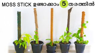 5 വിത്യസ്ത രീതിയിൽ എങ്ങനെ എളുപ്പത്തിൽ  MOSS STICK  ഉണ്ടാക്കാം  | DIY MOSS STICK