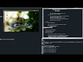 Linux kernel Debug using qemu and gdb from host