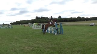 Harriet Turton \u0026 Billy Bug: Show Jumping at Horseheath