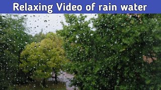 relaxing video of rain water drop | Info By CSM