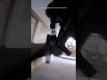 chilling bodycam footage of the moment nashville shooter is killed