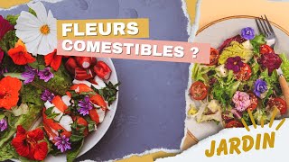 Plantes et fleurs comestibles : comment les reconnaître, les cultiver et les cuisiner ?