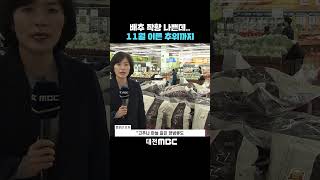 #shorts [자막뉴스(10.22)] 배추 작황 나쁜데.. 11월 이른 추위까지