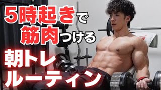 【腕トレ】早起きして仕事前に筋トレする朝ルーティン‼︎