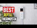 ✅Top 5 Best Reptile Thermostat in 2024