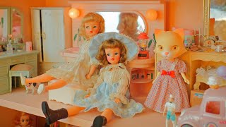 타미 인형, 빈티지돌 / Ideal Tammy Dolls, Vintage Doll