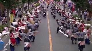 2013　大阪市立大学チーム朱蘭　どまつり本祭一日目バリバリ平針パレード２パレ目