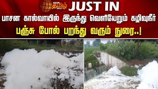 பாசன கால்வாயில் இருந்து வெளியேறும் கழிவுநீர்.. பஞ்சு போல் பறந்து வரும் நுரை | Madurai | Foam