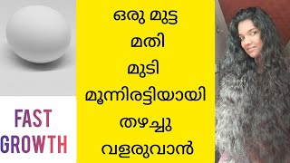 മുടി മൂന്നിരട്ടി തഴച്ചു വളരും😱 | FAST HAIR GROWTH #fasthairgrowth #dandruffremoval #hair