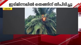 വയനാട്ടിൽ ഇടിമിന്നലിൽ തെങ്ങിന് തീ പിടിച്ചു | Wayanad | Lightning |