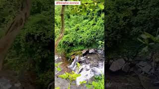 अँधियारझोला वाटरफाल मलेवा गरियाबंद‼️Andhiyarjhola Waterfall Gariyaband #gariyaband #short #waterfall