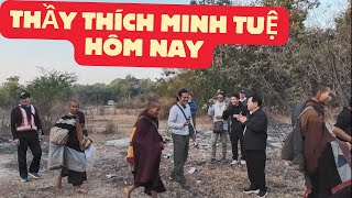 LATEST INFORMATION ABOUT VENERABLE THICH MINH TUE IN THAILAND