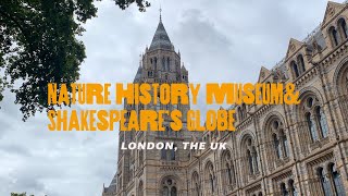 【英國The UK】倫敦自然歷史博物館\u0026環球劇場London Nature History Museum \u0026 Shakespeare’s Globe