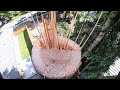 2019 Epic Tree Topping Compilation!