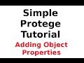 A Simple Protege Tutorial 3: Adding Object Properties
