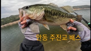 [4월바오]친한지인들과 안동호 빅베이트 배스조행기 / #안동호 #bigbait #배스낚시   #ft60 #빅베이트