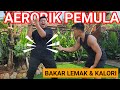 30 MENIT BAKAR LEMAK DAN KALORI | AEROBIK PEMULA