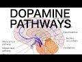 Dopamine Pathways, Antipsychotics, and EPS