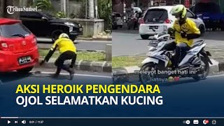 Aksi Heroik Pengendara Ojol Selamatkan Kucing Berlari Tengah Jalan, Tuai Pujian