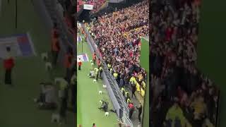 Watford fans v Luton