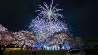 2023.04.01 第14回 辰ノ口さくら祭り 花火大会 野村花火工業(株)