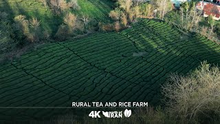 Aerial Views Furman's Fields 4K: Nature's Masterpiece, Iran