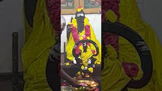 sree brahmagnani kanchi viswanatha swamy guruvaram pooja.