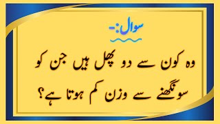 Islamic Common Sense Paheliyan in Urdu/Hindi | Dilchasp Islami Maloomat | General Knowledge Quiz #5