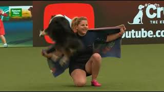 Crufts 2023 International Heelwork to Music Freestyle - Christine \u0026 Meredith - Hungary