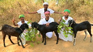 35 KG Mutton Curry Recipe || katla fish recipe cooking for village poor people || Helping kitchen