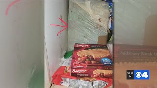 Man makes gruesome discovery in dead mother's freezer