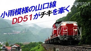 【4K 60P】山口線DL訓練 DD51がチキを牽く 2019.7.14