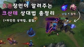 오른 장인랭킹1위의 크산테 상대법 (+라인전 딜교법, 꿀팁)