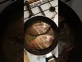 Fried Tilapia #shortsfeed #youtubeshorts #shortvideo #shortsyoutube #shorts #short