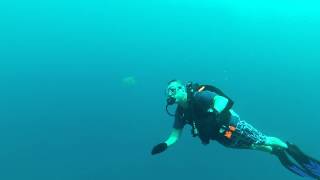 Mike Faulkner and a shy Green Sea Turtle in Guam