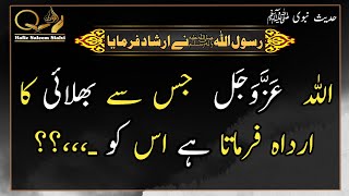 Allah Jis se Bhalai Ka Irada Farmata Hai Usko.,,? | Hadees Sharif in Urdu | Hafiz Saleem Sialvi