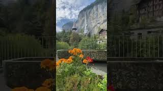 Flowers in #switzerland #youtubeshorts #nature #travel #swissbeauty #flowers