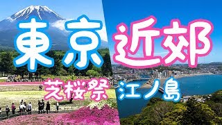 9分鐘講完行程 五日東京市內+近郊之旅 芝櫻祭 江之島 新宿上野 自由行