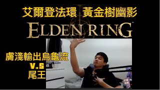 【艾爾登法環elden ring】膚淺輸出烏龜流  擊敗DLC尾王 ｜八周目難度 黃金樹幽影