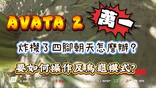 AVATA2 第三次炸機 萬一四腳朝天了怎麼辦？ 如何操作反烏龜模式