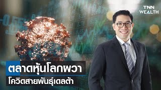 “ตลาดหุ้นโลกผวาโควิดสายพันธุ์เดลต้า” I TNN Wealth live ภาคเช้า