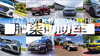 【我帮你试车】东风日产奇骏2020款